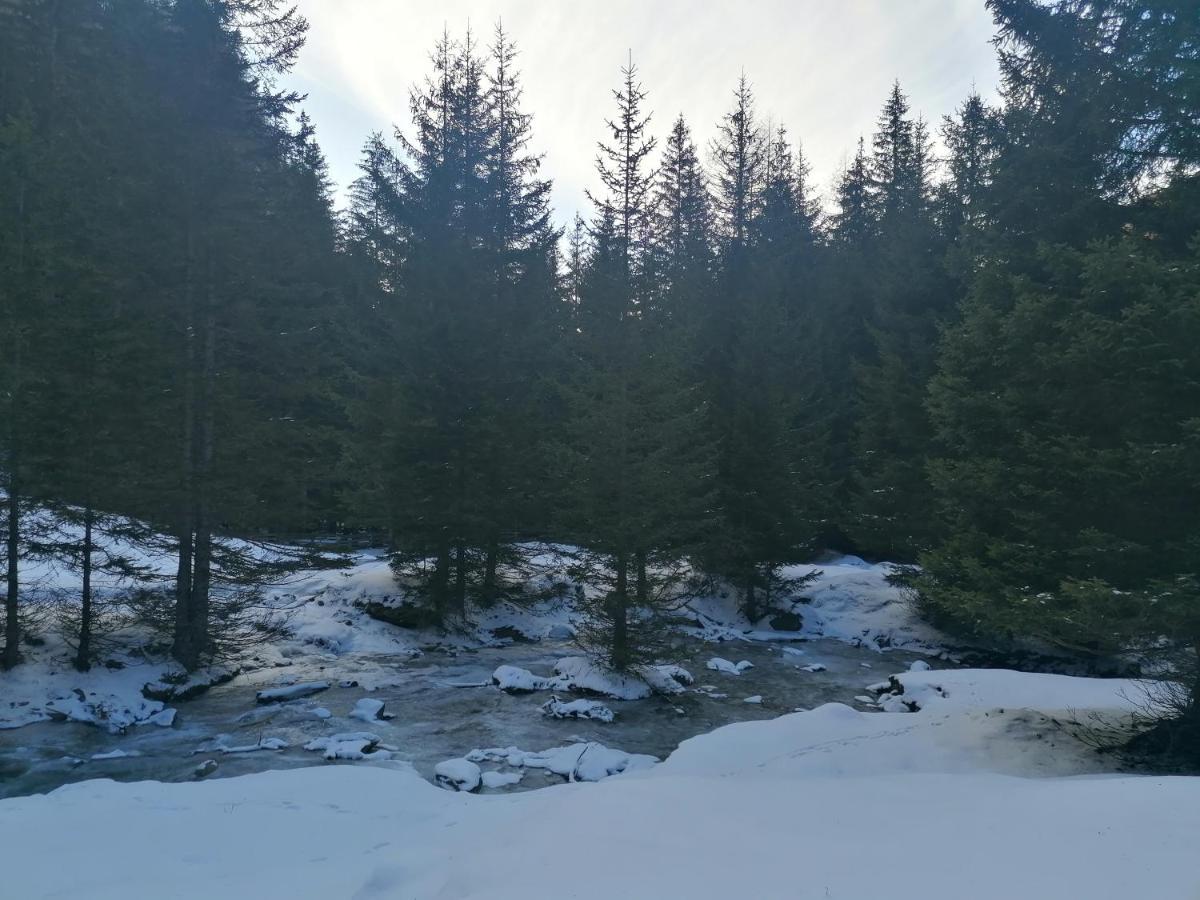 Ferienwohnungen Unterangerhof Quinzo 外观 照片